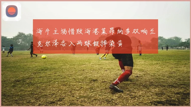 海牛主场惜败海港莱昂纳多双响兰克尔泽各入两球假摔染黄