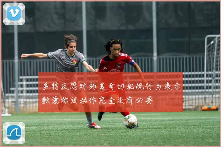 多特反思对约基奇的犯规行为表示歉意称该动作完全没有必要